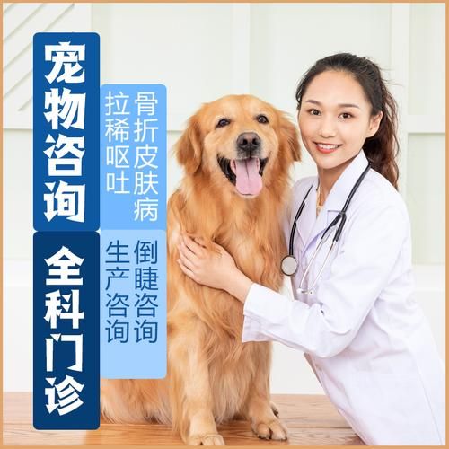 宠物医生咨询?宠物医生咨询在线24小时免费!