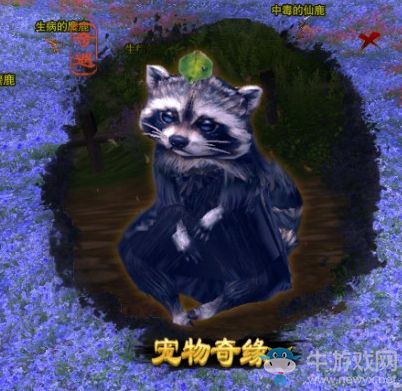 《剑网3》宠物一杠详细攻略
