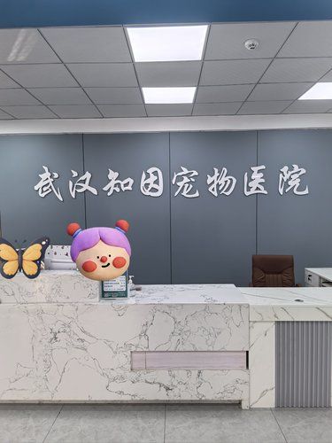 带着毛孩子的一天
