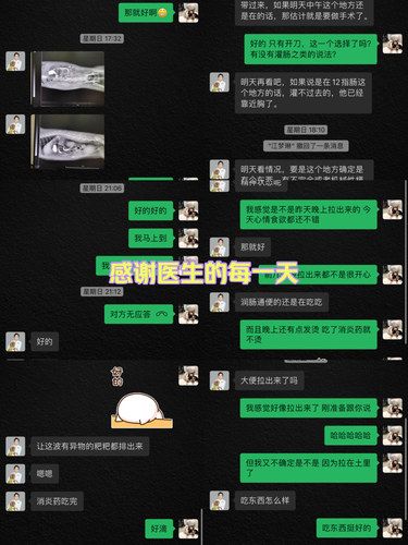 武汉神仙宠物医生