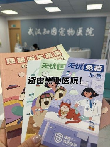 真后悔没有早点来！