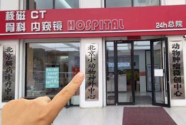 这会是北京下一家倒闭的宠物医院吗？？