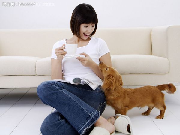 宠物托运