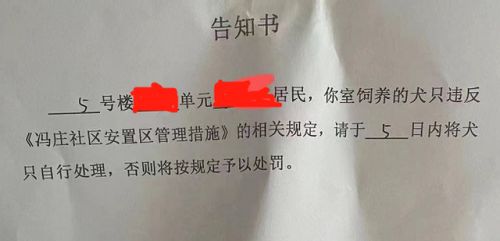 郑州一社区全面禁止养狗引质疑 为什么要全面禁止养狗社区回应