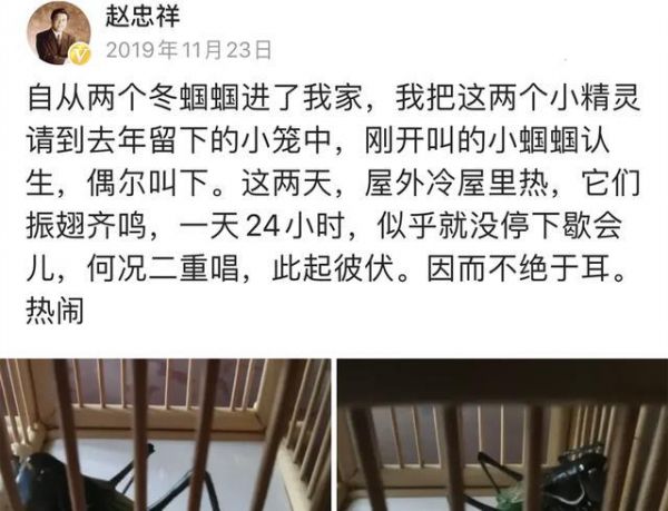 赵忠祥生前钟爱的一对小宠物随主人而去，他就是它们的父母