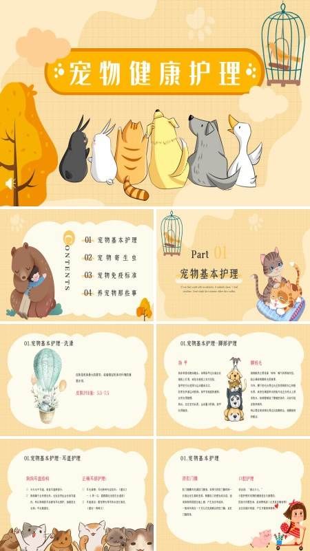 宠物健康护理PPT课件模板