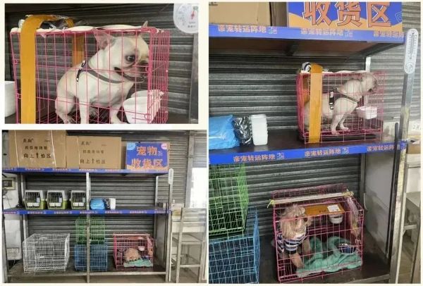 来源：广东省汽车客运站