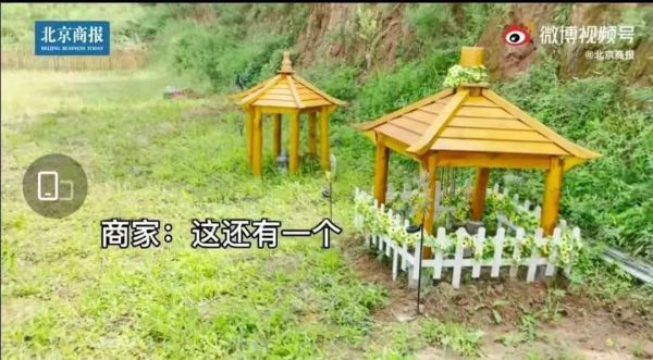 宠物火化设备多少钱_宠物火化挣钱吗_宠物火化生意