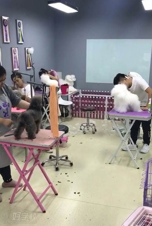微信图片_20201011195419