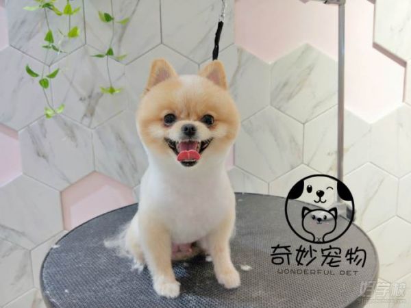 学员作品