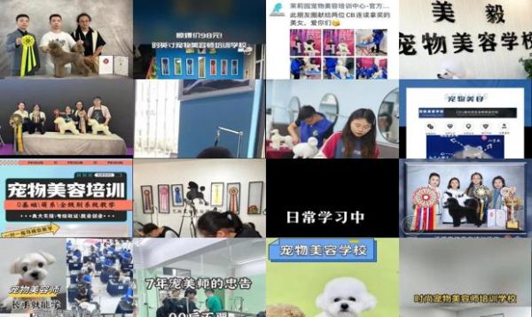 哈尔滨宠物美容师宠物美容培训