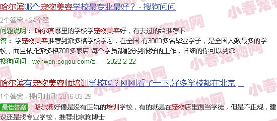 哈尔滨宠物美容师宠物美容培训