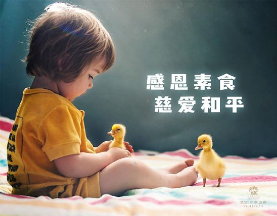 关于保护动物的名人名言（中、英文）