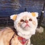 等风来