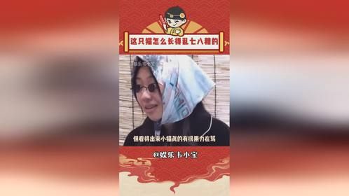 这只猫是谁，怎么长得乱七八糟的