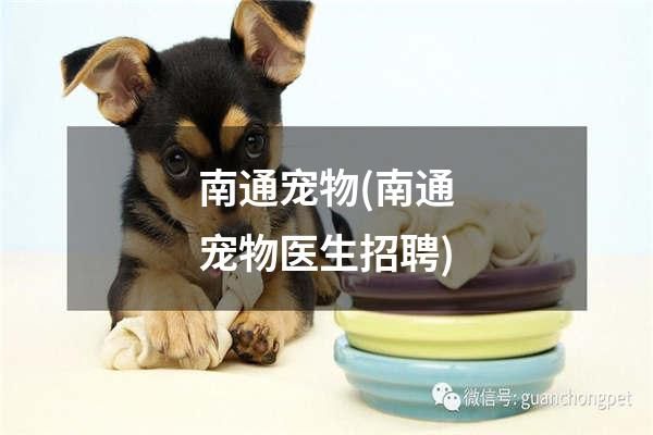 南通宠物(南通宠物医生招聘)