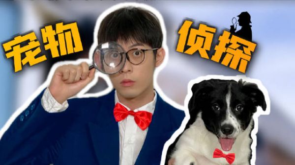 ｜ 寻宠十分钟，收费4000+，为什么有人愿意重金寻宠？？？