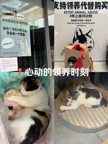 成都！不敢相信竟然真的有