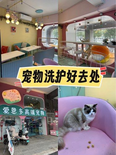 不用愁有猫狗味啦