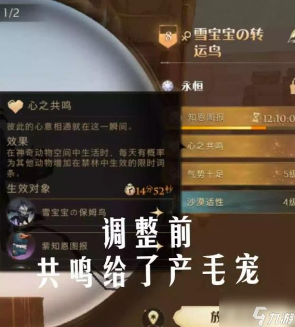 哈利波特魔法觉醒宠物共鸣怎么开？宠物共鸣开启方法介绍