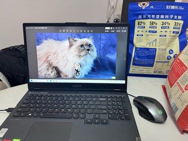 摄影美美的一天