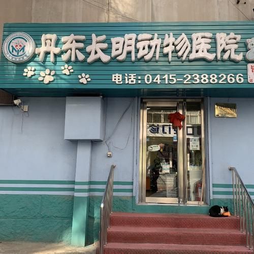 丹东最好的宠物医院,丹东最好的宠物医院有哪些