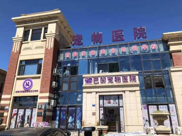 丹东最好的宠物医院,丹东最好的宠物医院有哪些