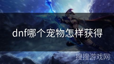 dnf哪个宠物怎样获得