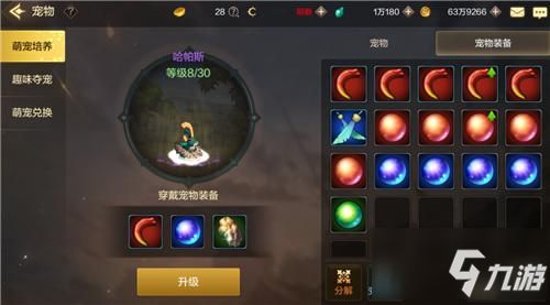地下城与勇士手游怎么得宠物 DNF手游宠物获取方法