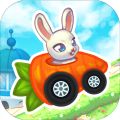 Pet Friends Park Racing