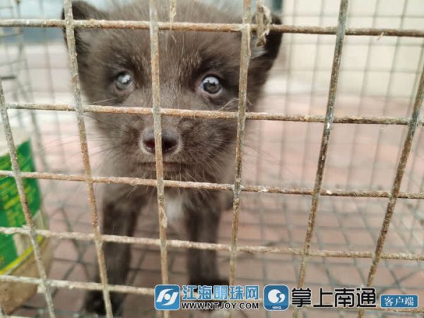 QQ图片20210527112722.jpg