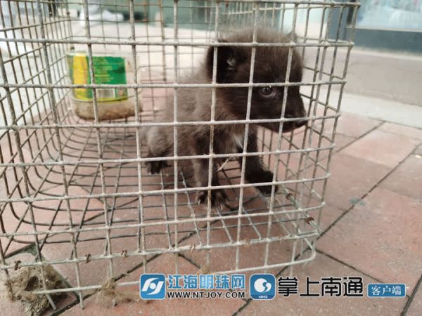 QQ图片20210527112726.jpg
