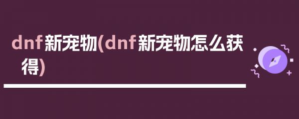 dnf新宠物(dnf新宠物怎么获得)