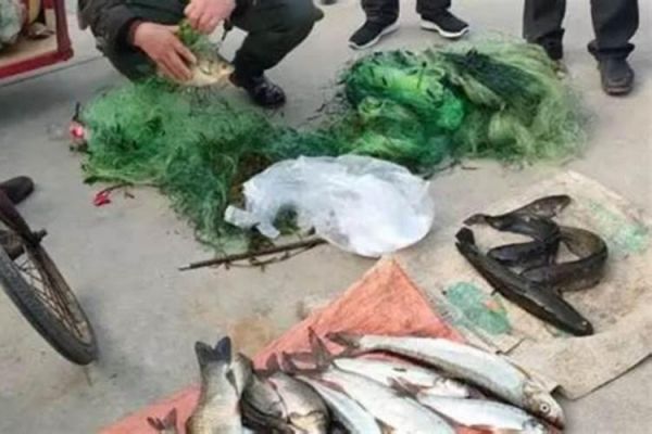 梦见买鱼了是什么意思？