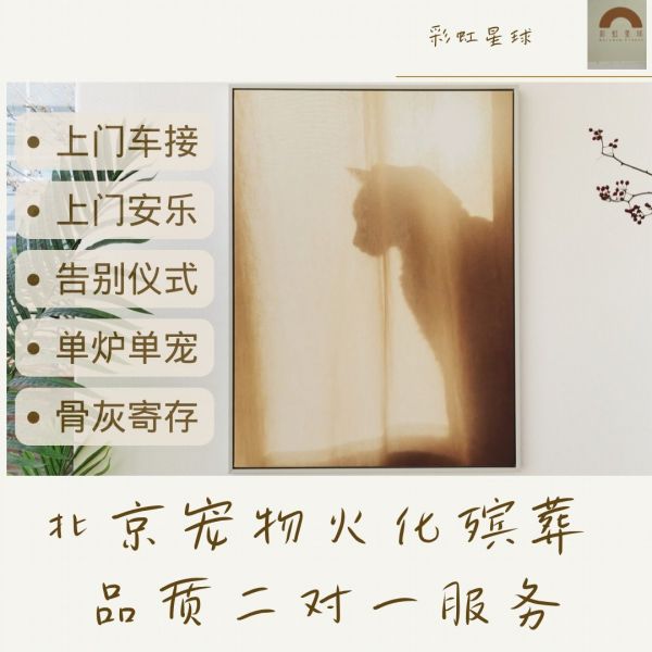 北京宠物火化殡葬_北京 宠物火化 慈_北京宠物火化服务怎么收费