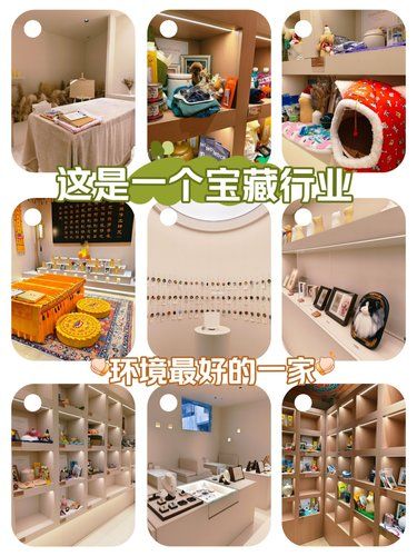 留住毛孩子最后的体面