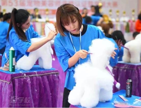 学员风采