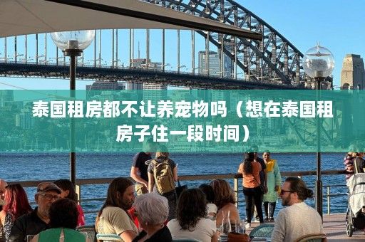 泰国租房都不让养宠物吗（想在泰国租房子住一段时间）