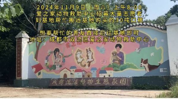 2024.11.9周六上午8:00 爱之家动物救助中心 招募大量志愿者 到基地帮忙搬运