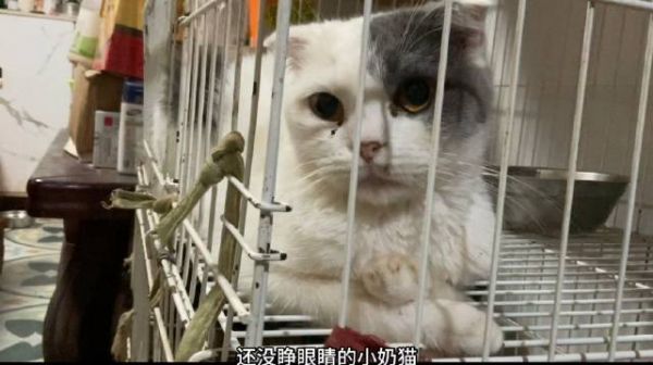 12平的小屋，既是陈阿姨的办公区，也是休息区