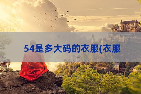 54是多大码的衣服(衣服54/185是多大码)