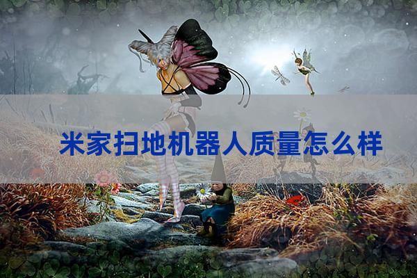 米家扫地机器人质量怎么样 米家扫地机器人怎么使用