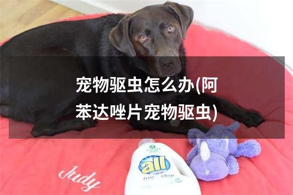 宠物驱虫怎么办(阿苯达唑片宠物驱虫)