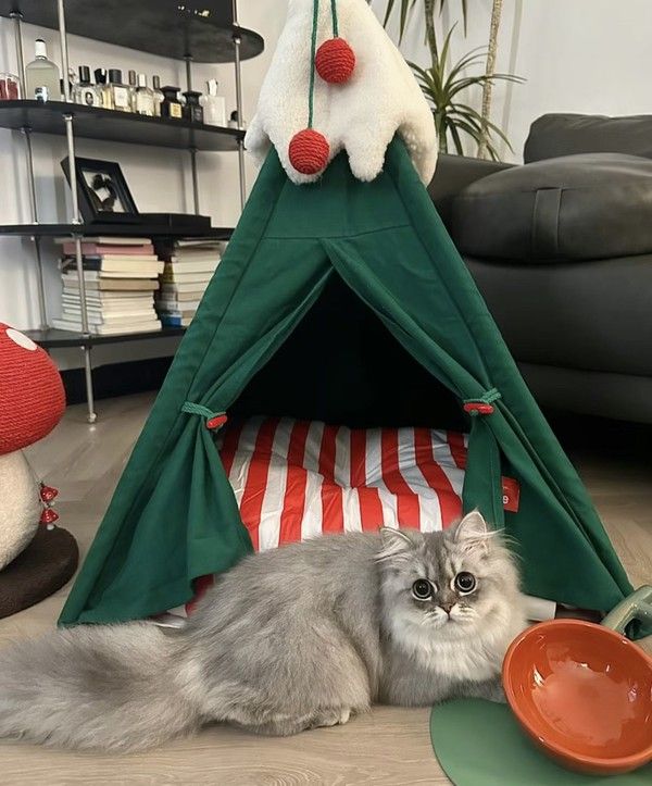 圣诞节冬季保暖 狗窝猫窝 60*60*78cm