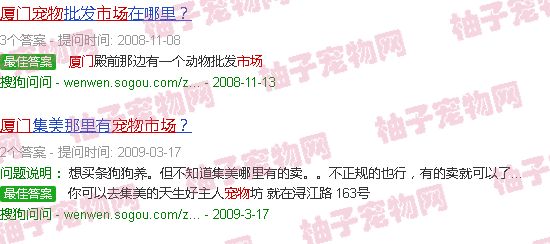 厦门宠物市场