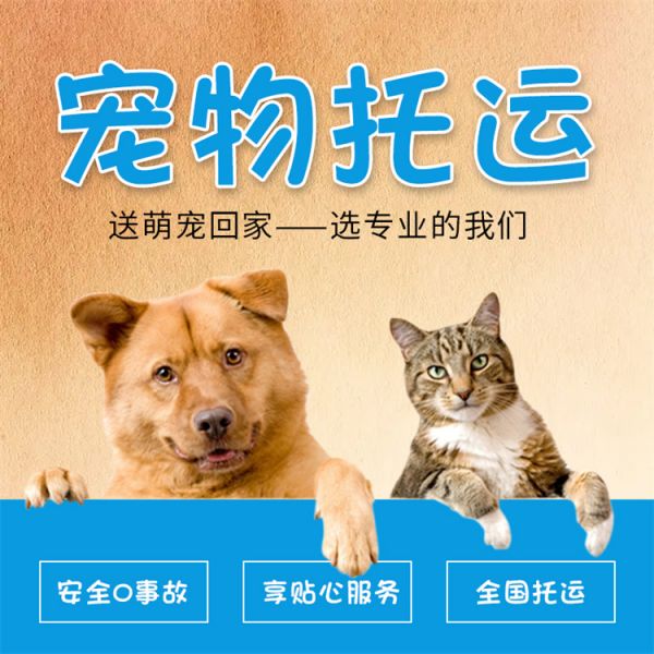 大理 托运邮寄 空调专车托运