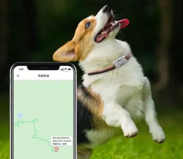 宠物专用定位器无线充电原理