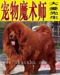 宠物魔术师小说