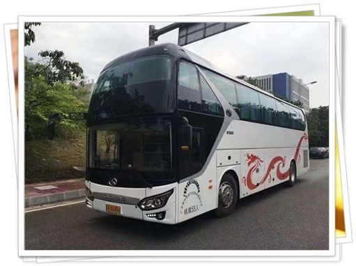 盐城到利津大巴宠物托运票价及发车班次查询