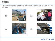 惠城水口正规宠物托运平台 正规宠物托运平台